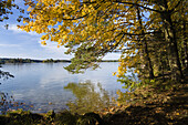 Lake Großen Ostersee in Autumn, Upper Bavaria, Germany