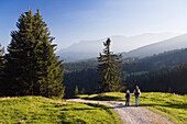 Wandern am Heigelkopf bei Bad Tölz, Oberbayern, Bayern, Deutschland