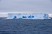 Blauer antarktischer Eisberg unter Wolkenhimmel, Südliche Shetlandinseln, Antarktis