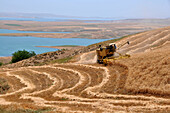 Harvesting at the barrier lake of Atatürk near Adiyaman, east-Anatolia, Turkey