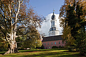 Schlosspark im Herbst, Schloss Jever, Jever, Niedersachsen, Deutschland