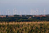 Wind farm, cornfield in foreground, Saxony-Anhalt, Germany