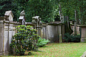Gräber auf dem Osnabrücker Hasefriedhof, ältere Grabsteine unter Bäumen, Osnabrück, Niedersachsen, Deutschland