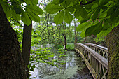 Wooden bridge, landscape garden, Agathenburg castle, Agathenburg, Lower Saxony, Germany