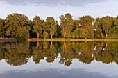 Bäume spiegeln sich im Spielmannsteich, Schloss Richmond, Braunschweig, Niedersachsen, Deutschland