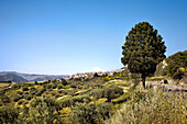 Blick auf Leonforte, Sizilien, Italien