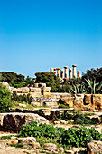 Juno Temple, Valley of temples, Agrigento, Sicily, Italy