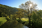 Danube valley near Beuron, Upper Danube nature park, Danube river, Baden-Württemberg, Germany
