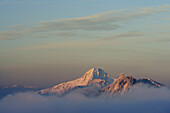 Risserkogel und Plankenstein im Alpenglühen überragen Wolkenmeer, Bayerische Voralpen, Bayerische Alpen, Oberbayern, Bayern, Deutschland