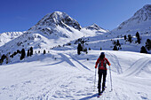 Woman backcountry skiing, ascending to Hinterbergkofl, Hinterbergkofl, Staller Sattel, Villgratner Berge range, South Tyrol, Italy