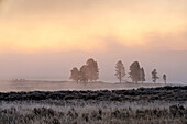 Pre-dawn mists on the Yellowstone River in the Hayden Vally
