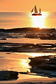 Pearl luggers cruising past Cable beach at sunset  Broome, Western Australia