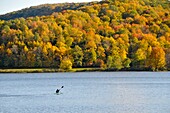 Canoe on Red House Lake Allegany State Park New York