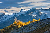 View of the Truce Group from Monica Meadows, Purcell Mountains British Columbia Canada