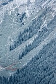 Fresh dusting of snow on avalanche slopes of the Purcell Mountains British Columbia Canada