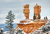 Fresh dusting of snow on Red Canyon, Dixie National Forest Utah