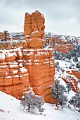 Fresh dusting of snow on Red Canyon, Dixie National Forest Utah