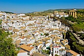 Setenil de las Bodegas. White Towns of Andalusia, Cadiz province, Andalusia, Spain