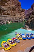 Confluence of the Colorado River and Havasu Creek, Whitewater rafting trip oar trip on the Colorado River in Grand Canyon, Grand Canyon National Park, Arizona USA