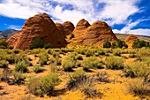 Paria Canyon Vermillion Cliffs Wilderness, Utah USA