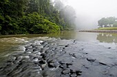 Danum Valley rainforest jungle river Sabah Borneo Malaysia