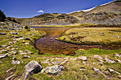 Laguna Larga. Provincia de Soria. Castilla León. España.