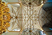 Parish Church of San Pedro de Anso, altarpiece, sixteenth century. Huesca. Aragon. Spain.