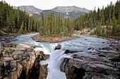 Sunwapta river Falls, Jasper National Park, Rocky Mountains, Alberta, Canada