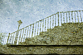 Stairs reflected on water