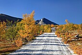 Photo Joergen Larsson Dörålseter Rondane Norway