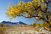 Photo Joergen Larsson Dörålseter Rondane Norway