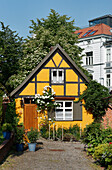 Malerisches Fachwerkhaus am Johanniskloster, Hansestadt Stralsund, Mecklenburg-Vorpommern, Deutschland, Europa
