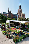 Neuer Markt, Marienkirche, Hansestadt Stralsund, Mecklenburg-Vorpommern, Deutschland