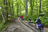 Cycling tour, Isar Cycle Route, Grunwald, Upper Bavaria, Germany