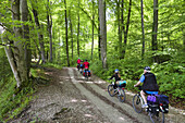 Fahrradtour, Isarradweg, Grünwald, Oberbayern, Deutschland