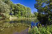 Isar bayou, near Plattling, Isar Cycle Route, Lower Bavaria, Germany