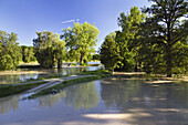 High water of river Isar, Plattling, Lower Bavaria, Germany