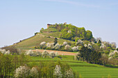 Staufener Burg, Markgräflerland, Schwarzwald, Baden-Württemberg, Deutschland, Europa