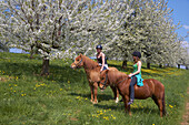 Junge Reiterinnen, Kirschblüte bei Feldberg-Niedereggenen, Markgräflerland, Schwarzwald, Baden-Württemberg, Deutschland, Europa