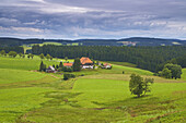 Fallerhof from the TV-Series Die Fallers, Unterfallengrundhof (farmhouse) close to Gütenbach, Near Furtwangen, Black Forest, Baden-Württemberg, Germany, Europe