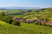Blick über Weinberge auf Bickensohl und Oberrotweil, Vogesen im Hintergrund, Vogtsburg im Kaiserstuhl, Baden-Württemberg, Deutschland