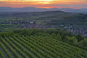 Blick über Weinberge auf Oberrotweil und Burkheim, Vogesen, Frühling, Kaiserstuhl, Baden-Württemberg, Deutschland, Europa