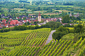 View over vineyards to Burkheim, Vogtsburg im Kaiserstuhl, Baden-Wurttemberg, Germany