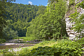 Canyon of the river Wutach (Wutachschlucht), Rümmelesteg (bridge), Black Forest, Baden-Württemberg, Germany, Europe