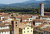 View of Lucca from Torre Guinigi, Lucca. Tuscany, Italy