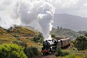 Great Britain, Scotland, The Jacobite Steam Train, better known now as the Harry Potter Train, on the way to Mallaig