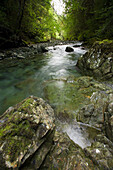 River in Strathcona Provincial Park  Vancouver Island)