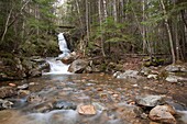 Crawford Notch State Park   Beecher Cascade during the spring months  Located on Crawford Brook next to the  Avalon Path in Bethlehem, New Hampshire USA