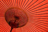 Japanese red paper umbrella