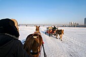 Horse drawn carriages cross the frozen Songhua River Harbin, Heilongjiang China